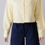 شومیز برشکا لیمویی