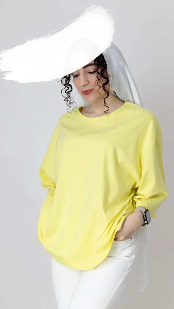 تیشرت باکسی بیسیک رنگ کره‌ای